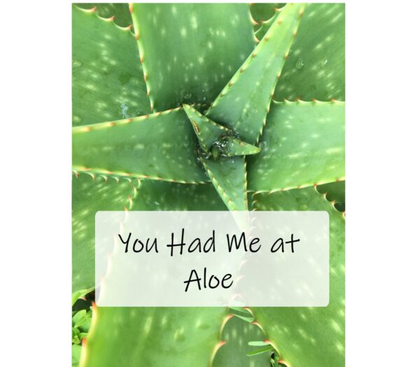 You Had Me at Aloe!