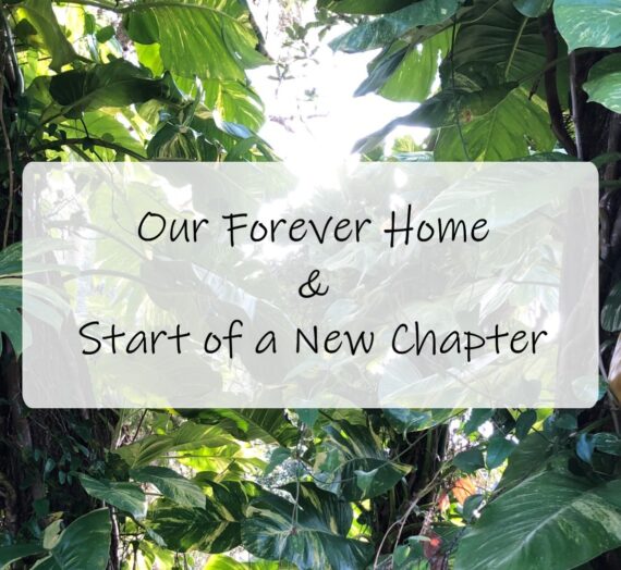 Our Forever Home and Start of a New Chapter