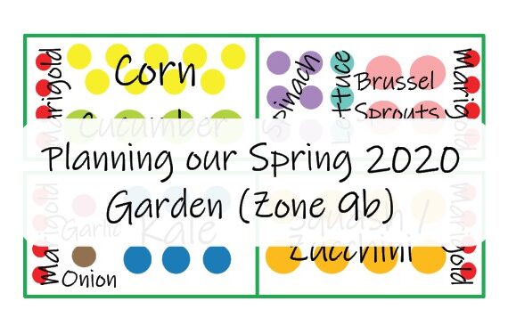 Planning Our Spring 2020 Garden
