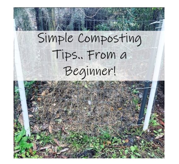Composting Tips from a Beginner to a Beginner