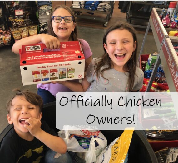 Officially Chicken Owners!