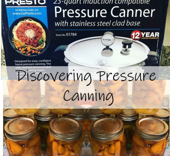 Discovering Pressure Canning