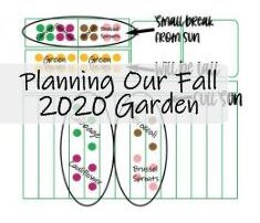 Fall 2020 Garden
